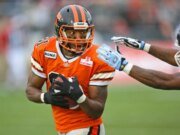 Os 20 maiores líderes de jardas recebidas de todos os tempos da CFL