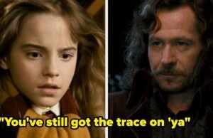 Somente verdadeiros magos podem obter mais de 90% disso "Harry Potter" Questionário de citações de filmes