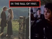 Desde "Coisas estranhas" S5 acontece em 1987, teste-se para ver se você se lembra bem do ano!