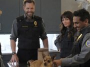 ‘Animal Control’: temporadas anteriores da série de comédia da Fox chegam à Netflix em acordo de streaming