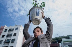 ‘No Other Choice’, ‘The Testament Of Ann Lee’ e ‘The Plague’ de Park Chan-Wook entram no cenário de férias – visualização especializada