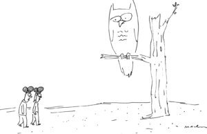 O dicionário está pronto?