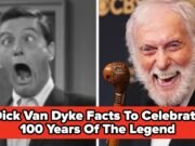 Nunca mais assistirei a um filme de Dick Van Dyke da mesma maneira depois de ler estes 19 fatos fascinantes sobre ele
