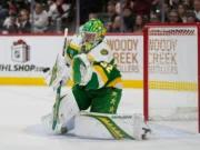 Kaprizov, Tarasenko e Gustavsson ajudam Wild a se manter aquecido com vitória por 5 a 0 sobre o Capitals