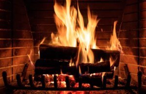 Por que ainda amamos o registro de Yule