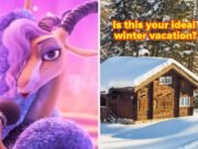 Escolha suas férias de inverno ideais e nós escolheremos o seu "Zootopia 2" Personagem
