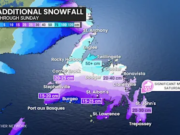 Tempestade de inverno impactante continua em Newfoundland