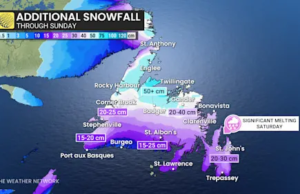 Tempestade de inverno impactante continua em Newfoundland