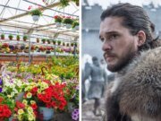 Absolutamente todo mundo ‘conhece um lugar’ para um encontro graças a este meme verdadeiramente agradável