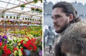 Absolutamente todo mundo ‘conhece um lugar’ para um encontro graças a este meme verdadeiramente agradável