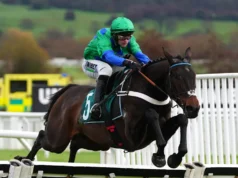 Old Park Star tem dono sonhando com ataque Supremo