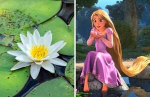 Escolha algumas flores para revelar qual princesa da Disney você é no fundo
