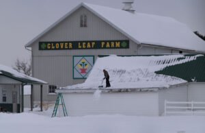 A revolta das terras agrícolas
