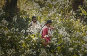 Drama de impacto de IA ‘Humans in the Loop’ adiciona Shabana Azmi, Ritesh Batra e Shaunak Sen como produtores executivos em Oscar Push (EXCLUSIVO)