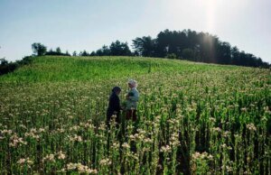 Novos projetos do renomado cineasta palestino Suha Arraf e do indicado ao Oscar Nebojša Slijepčević selecionados para a competição Nordic Gateway de Gotemburgo (EXCLUSIVO)