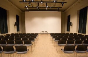 Dias Estranhos na Modern Language Association