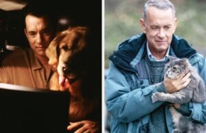 Somente os verdadeiros fãs do pai da América podem adivinhar o filme pela imagem de Tom Hanks