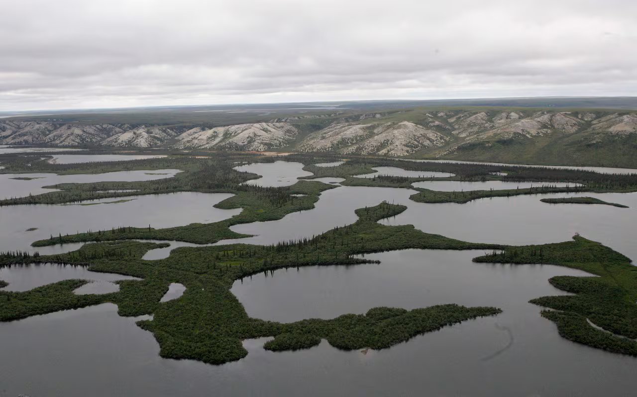 Afundar árvores no Oceano Ártico poderia reduzir as emissões de carbono. Mas vale a pena?
