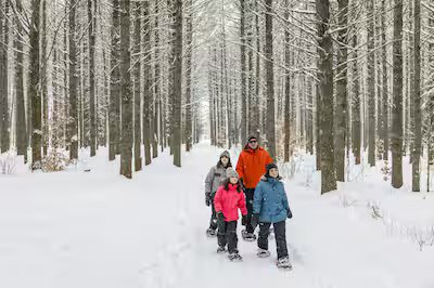 Ocasiões plein air en famille para relaxar