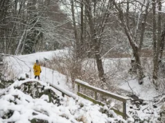 Sistema frontal traz neve pesada, ventos fortes e calor recorde para áreas de BC