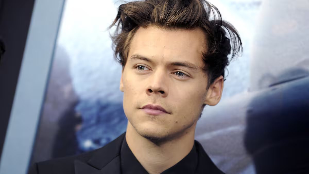 Harry Styles: filho aconselhado para gerar um desejo de pressionar durante uma maratona