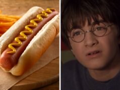 Desfrute de uma refeição completa e revelaremos sua casa em Hogwarts