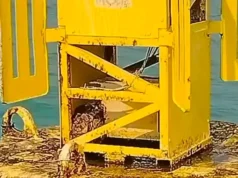 Pescadores resgatam píton presa em bóia no meio do oceano