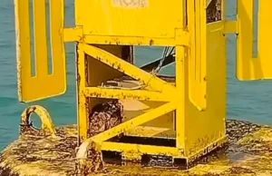 Pescadores resgatam píton presa em bóia no meio do oceano