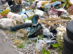 Autoridades esmagam veículo de homem envolvido em esquema ilegal: ‘Não vamos tolerar isso’