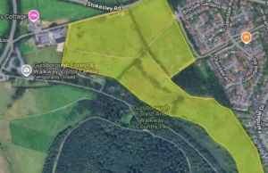 Temores sobre planos para casas próximas à trilha na floresta