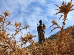 Legisladores turcos apoiam plano para avançar no processo de paz do PKK