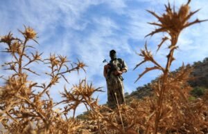 Legisladores turcos apoiam plano para avançar no processo de paz do PKK