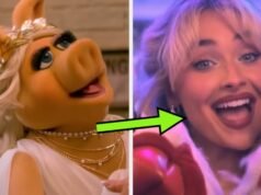 Todo mundo e suas mães cresceram assistindo “Os Muppets” – agora este teste vai dizer quem você é