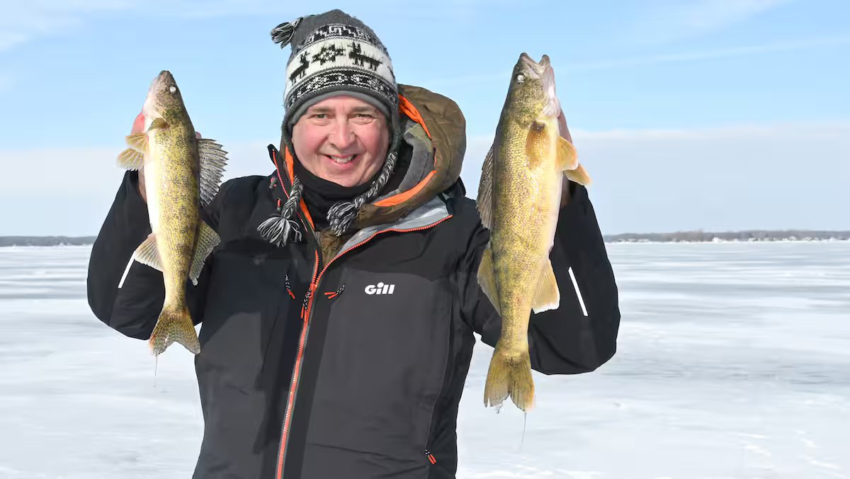 Os 15 melhores para le doré sous la glace