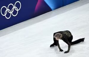 Patinagem artística: Ilia Malinin s’écroule