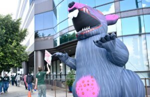 WGA pretende voltar o foco para os estúdios, enquanto a equipe permanece em greve