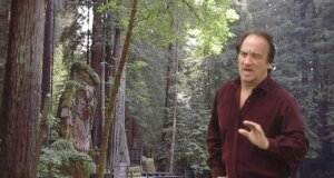 A elite tecnológica não está na lista secreta de convidados do Bohemian Grove: relatório