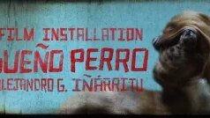 Alejandro G. Iñárritu comemora 25 anos de ‘Amores Perros’ com exposição imersiva LACMA