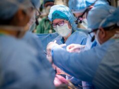 Cientistas injetaram células-tronco em fetos para tratar um defeito congênito. Aqui está o que aconteceu