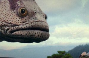 Black Mandala e Red Owl definem oito títulos de gênero para EFM (EXCLUSIVO)