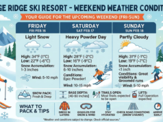 Prática com Nano Banana 2, a versão mais recente do AI Image Generator do Google