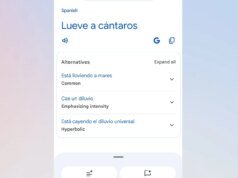 O Google Tradutor pode finalmente decodificar “chovendo cães e gatos”