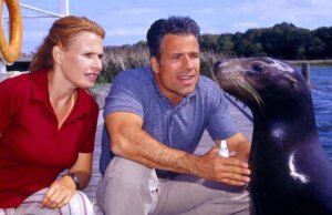 ZDF Studios fecha contrato dramático de 1.200 horas com o grupo TV2 da Hungria (EXCLUSIVO)