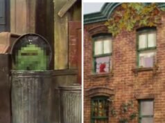 Somente verdadeiros fãs de Muppet podem combinar esses Muppets com suas casas