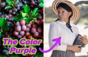 Coma de um arco-íris de alimentos e eu lhe darei um filme para assistir com uma cor no título