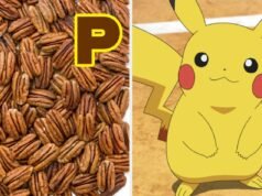 Prepare uma refeição usando apenas P-Foods e adivinharemos seu parceiro Pokémon perfeito!