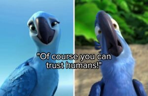 Quem disse essas citações "Rio"? Blu ou jóia?