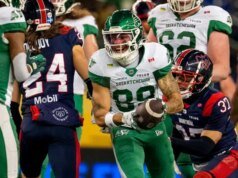 O bom, o ruim e o idiota da agência gratuita CFL 2026