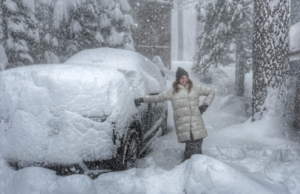 O monstro de 9.000 libras que não quero devolver