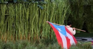 O intervalo Technicolor de Bad Bunny roubou o Super Bowl